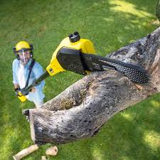 Best Aeration Services  in Heartland, TX